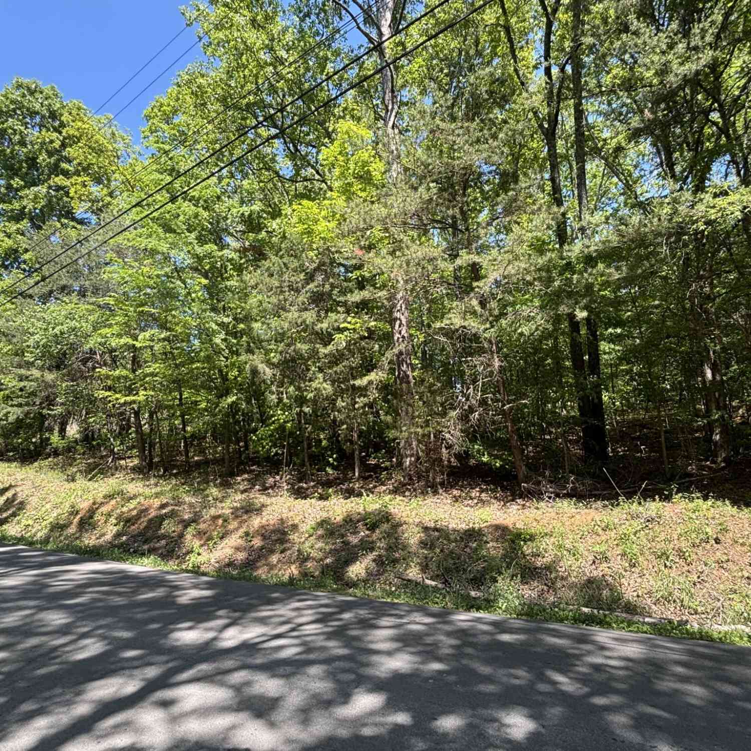 Vacant Land For Sale - 670 Lake View Drive<br/> Marion County County, New Hope, TN 37380