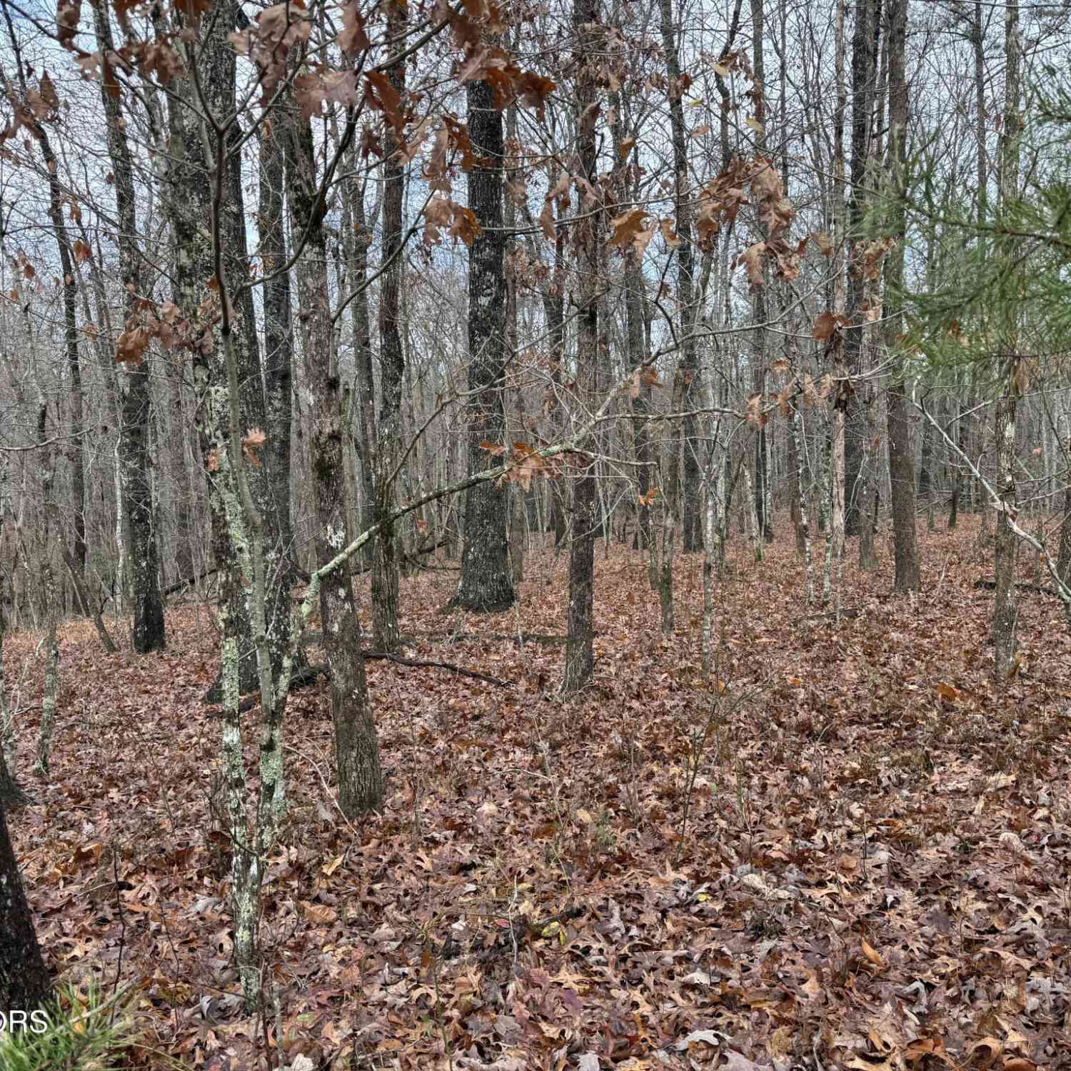 Vacant Land For Sale - Icy Cove Tr<br/> Monterey, TN 38574