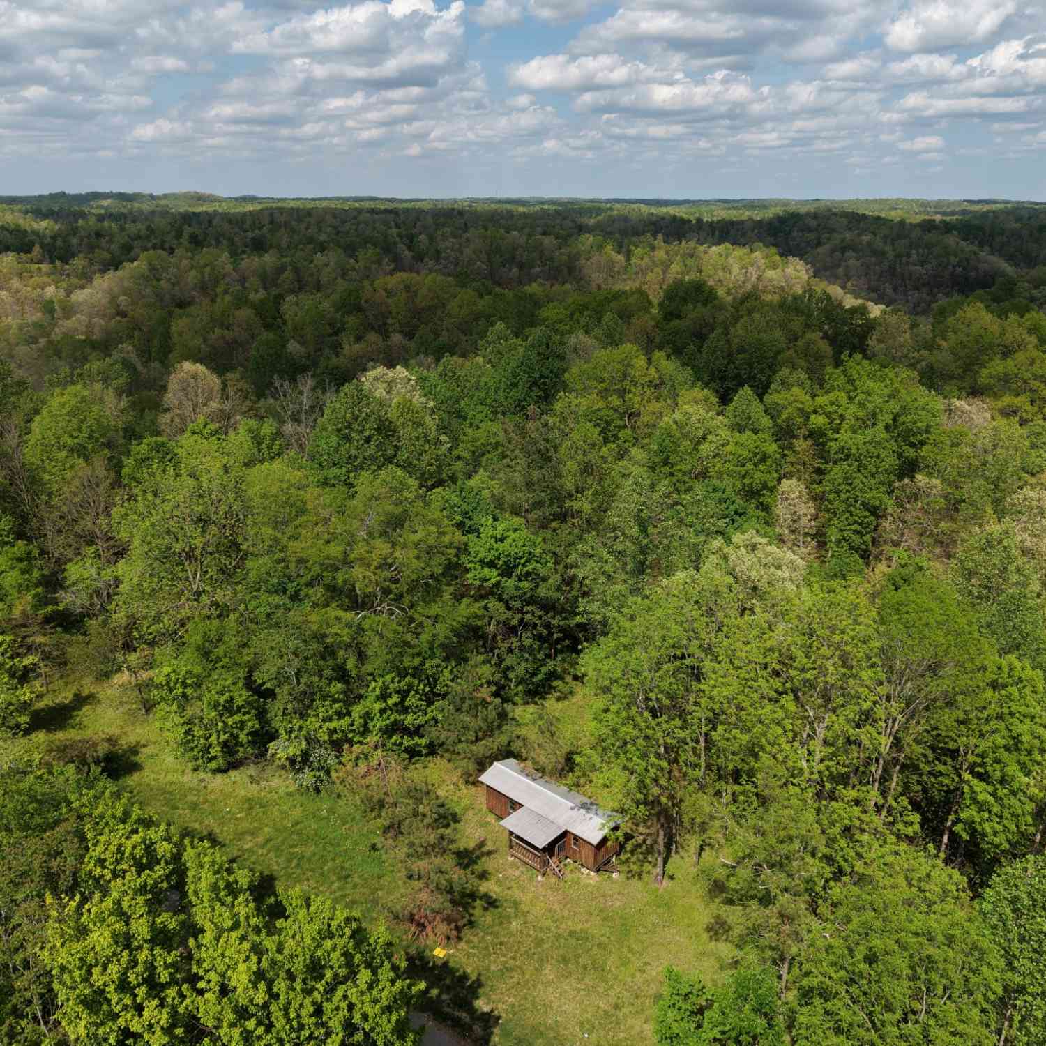 Vacant Land For Sale - North Fork Rd<br/> Whitleyville, TN 38588