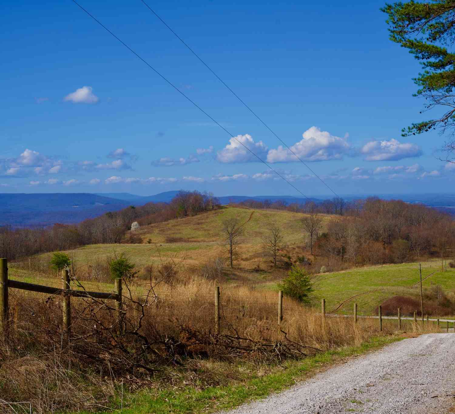 Vacant Land For Sale - Madewell Rd<br/> Spencer, TN 38585