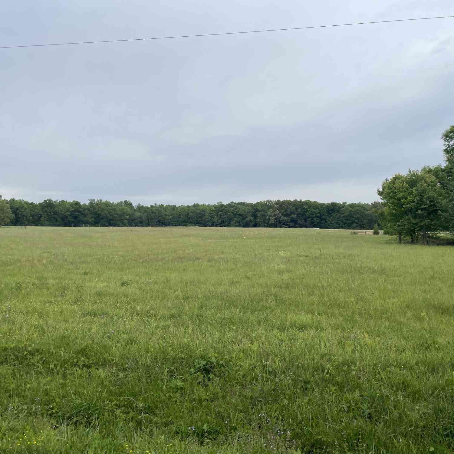 Vacant Land For Sale - Fredonia Rd<br/> Coffee County County, Manchester, TN 37355