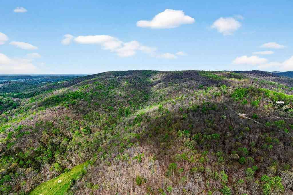Vacant Land For Sale - White Oak Flatt Road<br/> Sparta, TN 38583