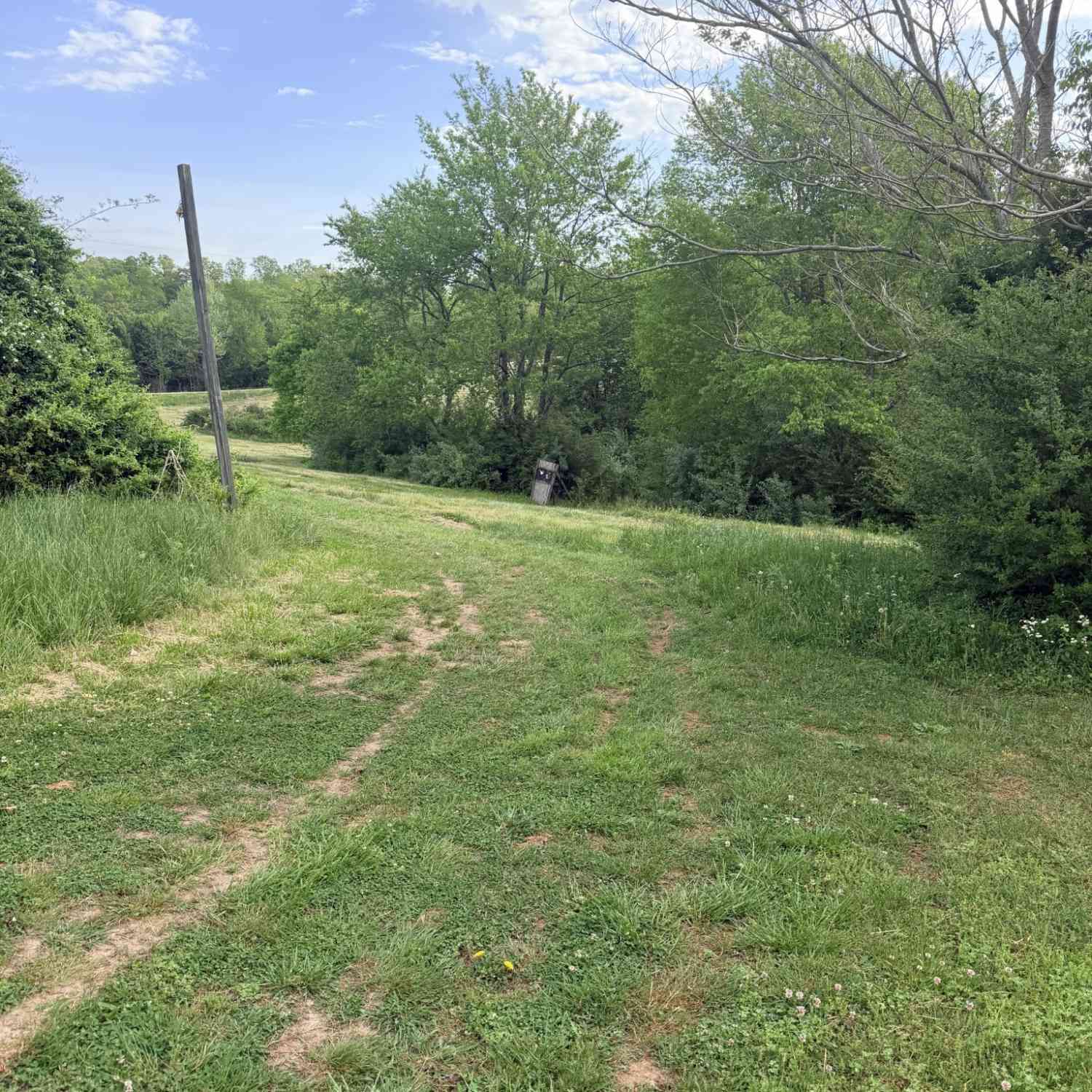 Vacant Land For Sale - 940 N Brace Rd<br/> Lawrence County County, Summertown, TN 38483