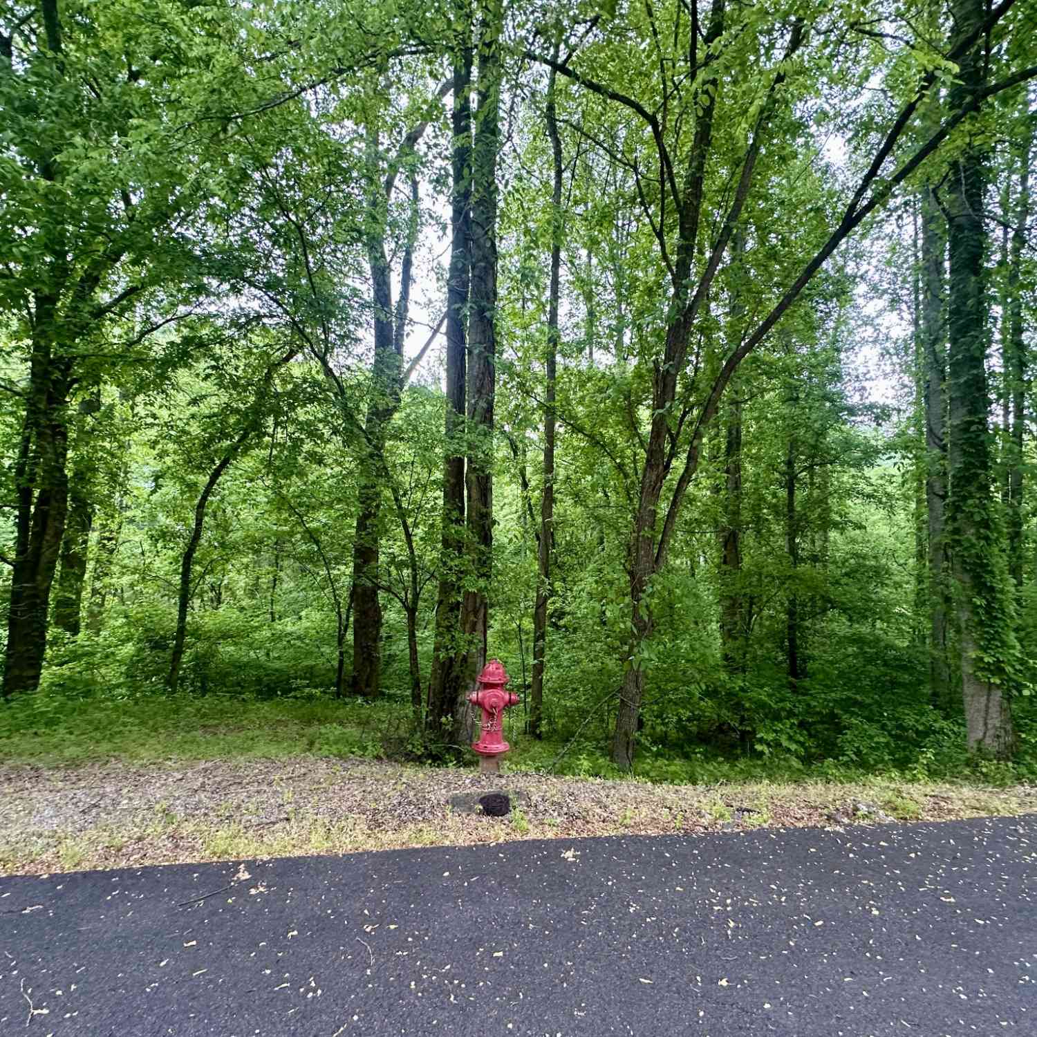 Vacant Land For Sale - Baymont Dr<br/> Lancaster, TN 38569
