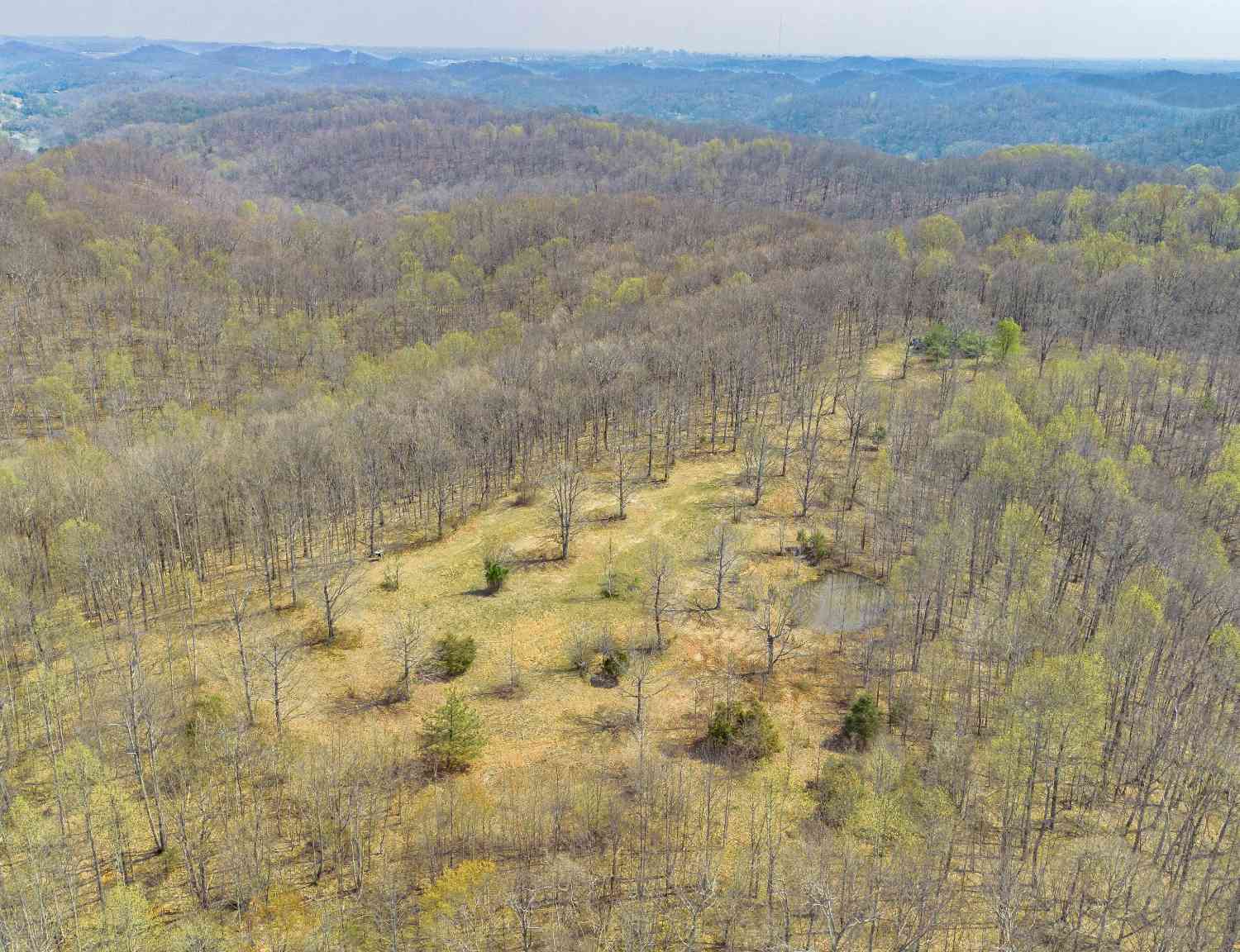 Vacant Land For Sale - 8234 Old Pond Creek Rd<br/> Pegram, TN 37143