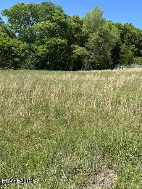Vacant Land For Sale - 789 Smith Bend Lane<br/> Gainesboro, TN 38562