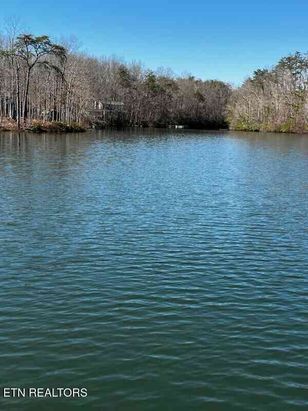 Vacant Land For Sale - 41 Crystal Point<br/> Monterey, TN 38574