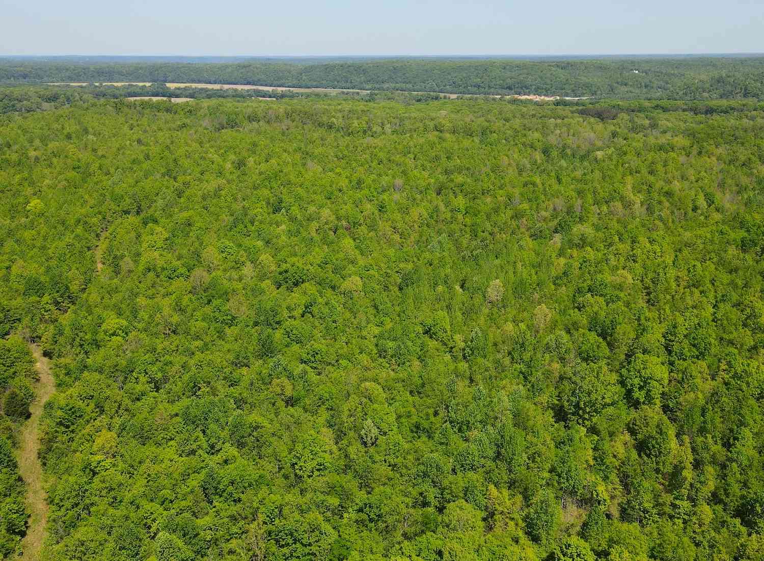 Vacant Land For Sale - Gauging Station Ln<br/> Hurricane Mills, TN 37078