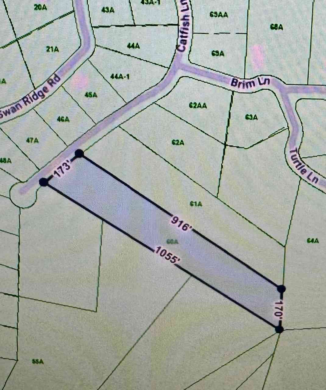 Vacant Land For Sale - Catfish Ln<br/> Hilham, TN 38568