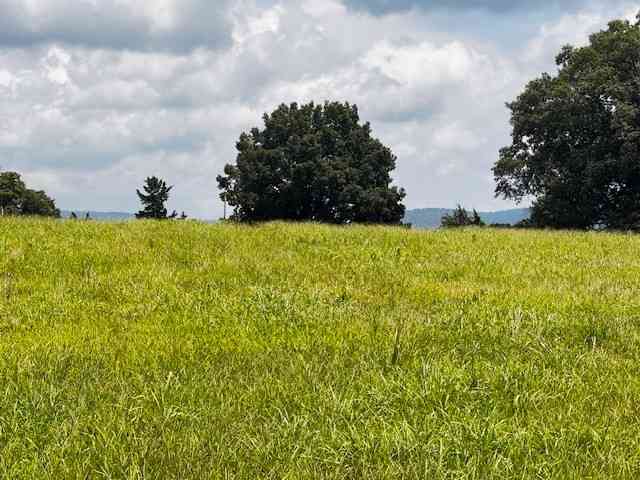 Vacant Land For Sale - Old Holders Cove Rd<br/> Franklin County County, Winchester, TN 37398