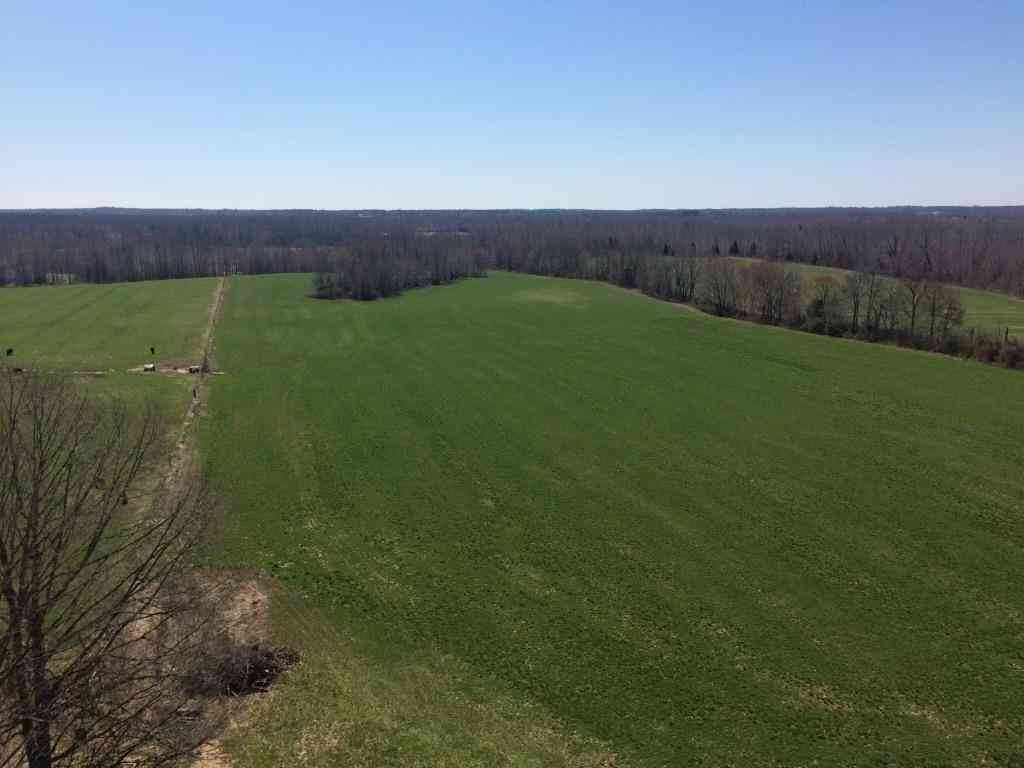 Vacant Land For Sale - Sulphur Creek Rd<br/> Big Sandy, TN 38221