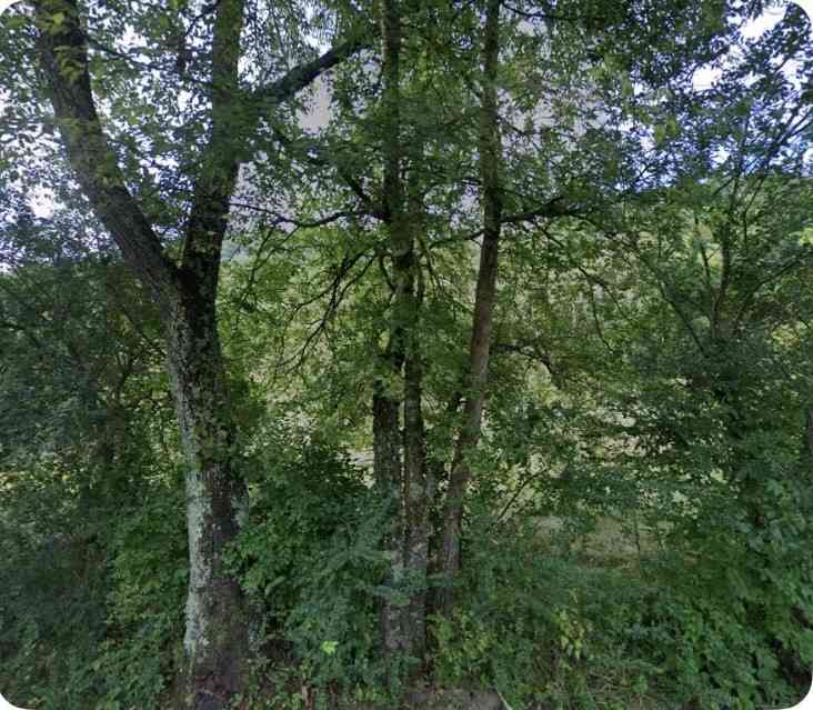 Vacant Land For Sale - 5034 Seymour Hollow Rd<br/> Whites Creek, TN 37189