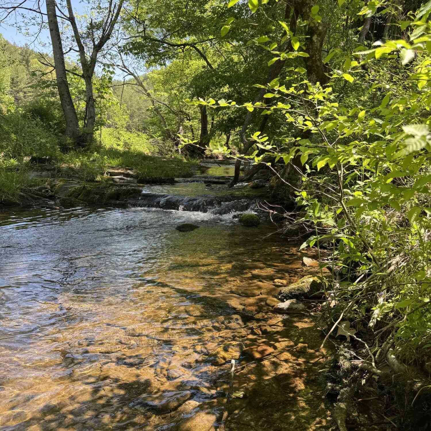 Vacant Land For Sale - 915 Chestnut Valley Road<br/> Vonore, TN 37885