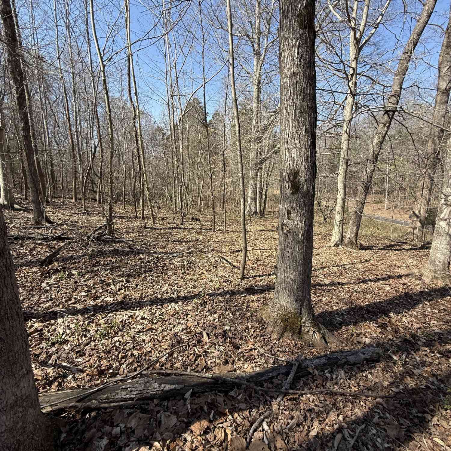 Vacant Land For Sale - Brigham Branch Rd<br/> Erin, TN 37061