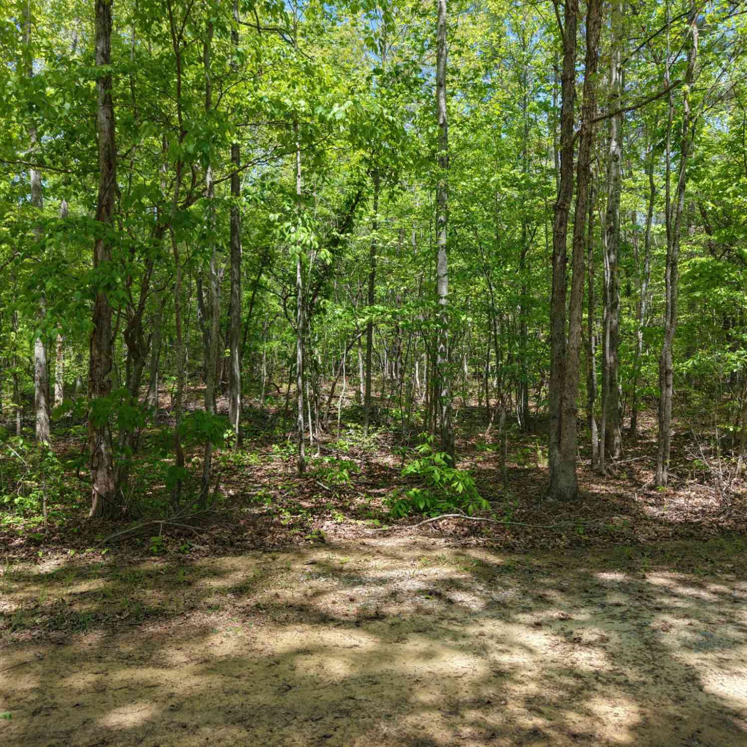 Vacant Land For Sale - Jim Black Drive<br/> Old Fort, TN 37362