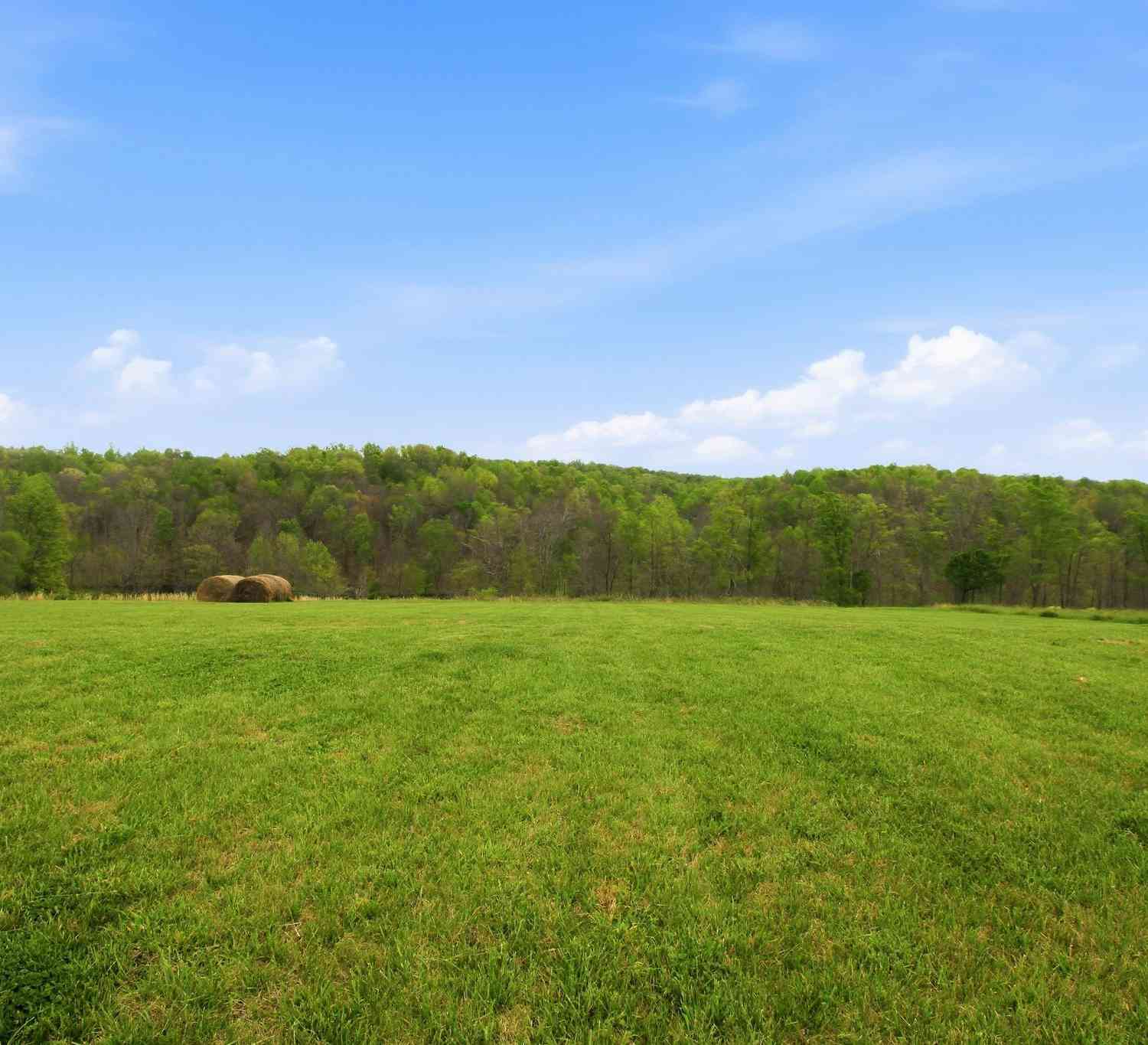 Vacant Land For Sale - Oak Grove<br/> Red Boiling Springs, TN 37150
