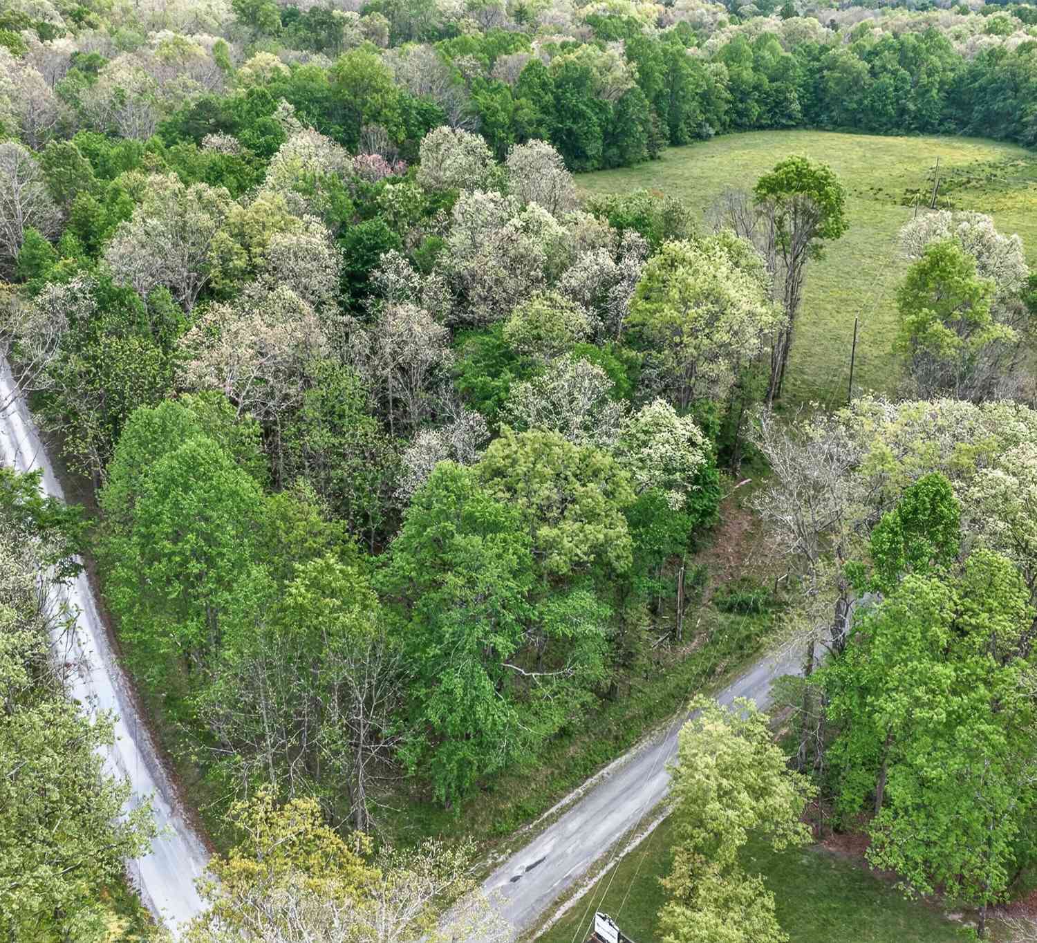 Vacant Land For Sale - Dunford Lane<br/> Fentress County, Allardt, TN 38504
