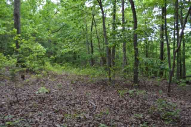 Vacant Land For Sale - Forest Trail Lane<br/> Celina, TN 38551