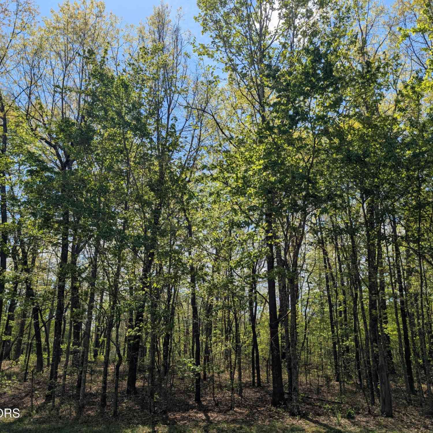 Vacant Land For Sale - Cumberland Lakes Drive<br/> Monterey, TN 38574