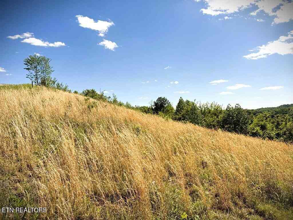 Vacant Land For Sale - 100 Mallard Lane<br/> Hilham, TN 38568