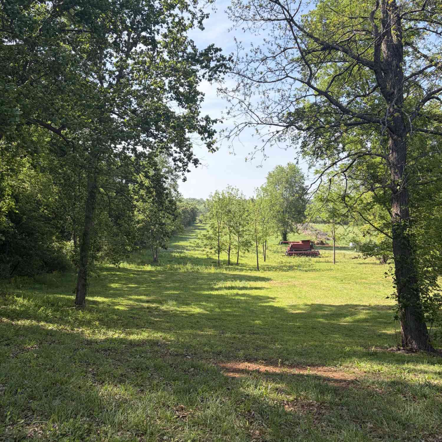 Vacant Land For Sale - Old Morrison Road<br/> Warren County County, McMinnville, TN 37110