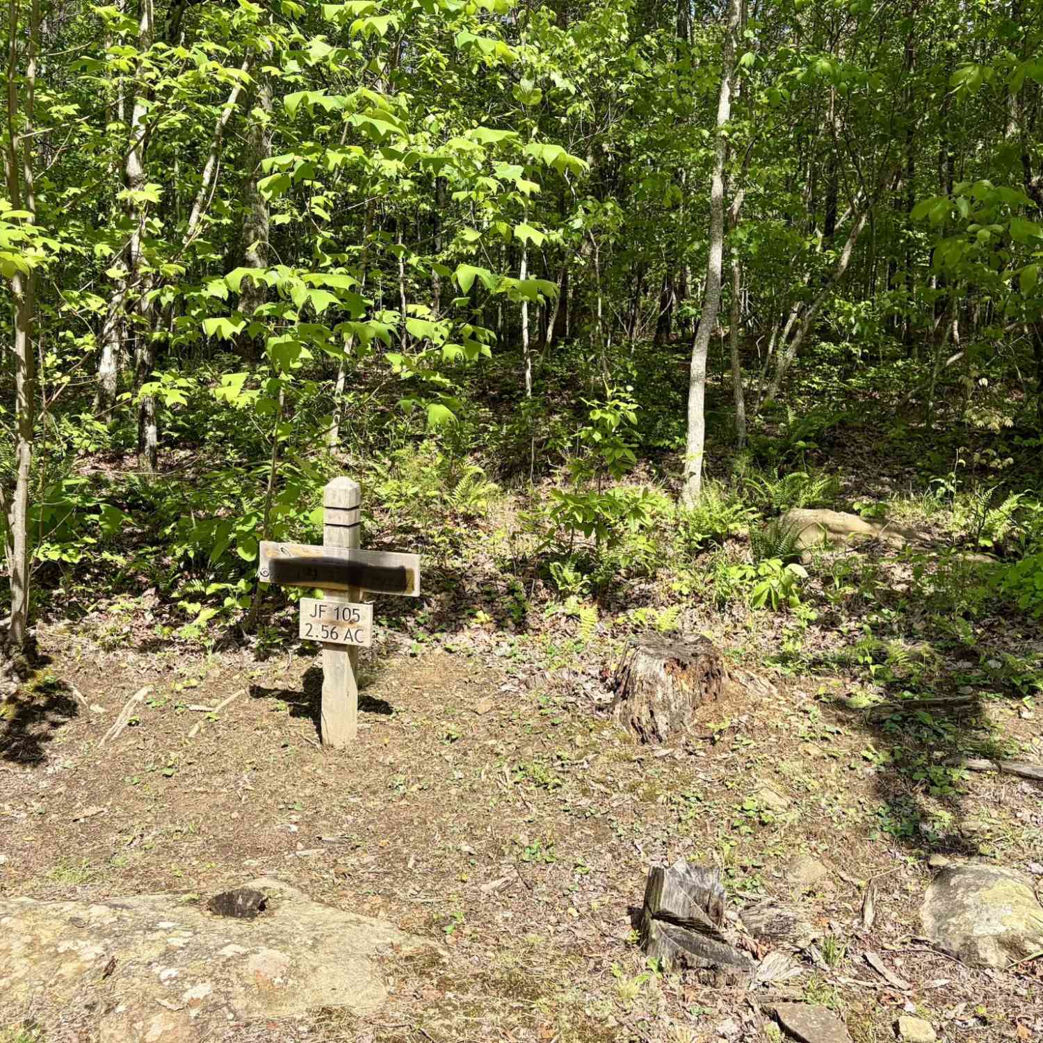 Vacant Land For Sale - Raulston Falls Rd<br/> Jasper, TN 37347