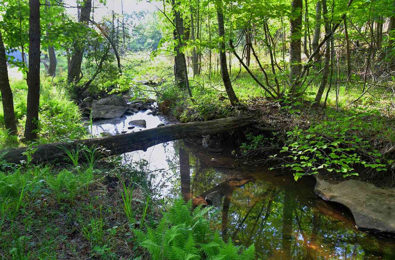 Vacant Land For Sale - 607 Monteagle Falls Rd<br/> Monteagle, TN 37356