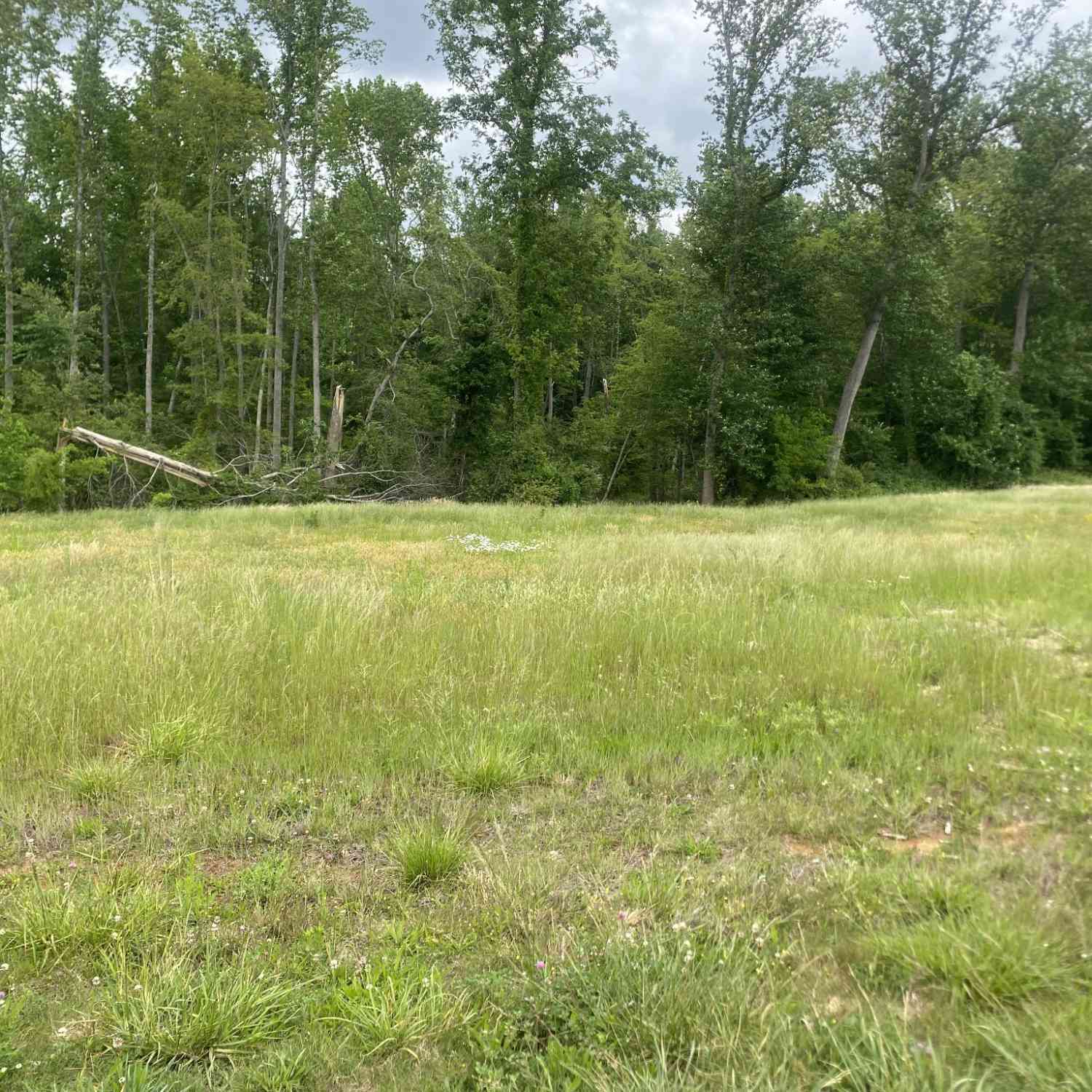 Vacant Land For Sale - Wheeler Road<br/> Warren County County, McMinnville, TN 37110