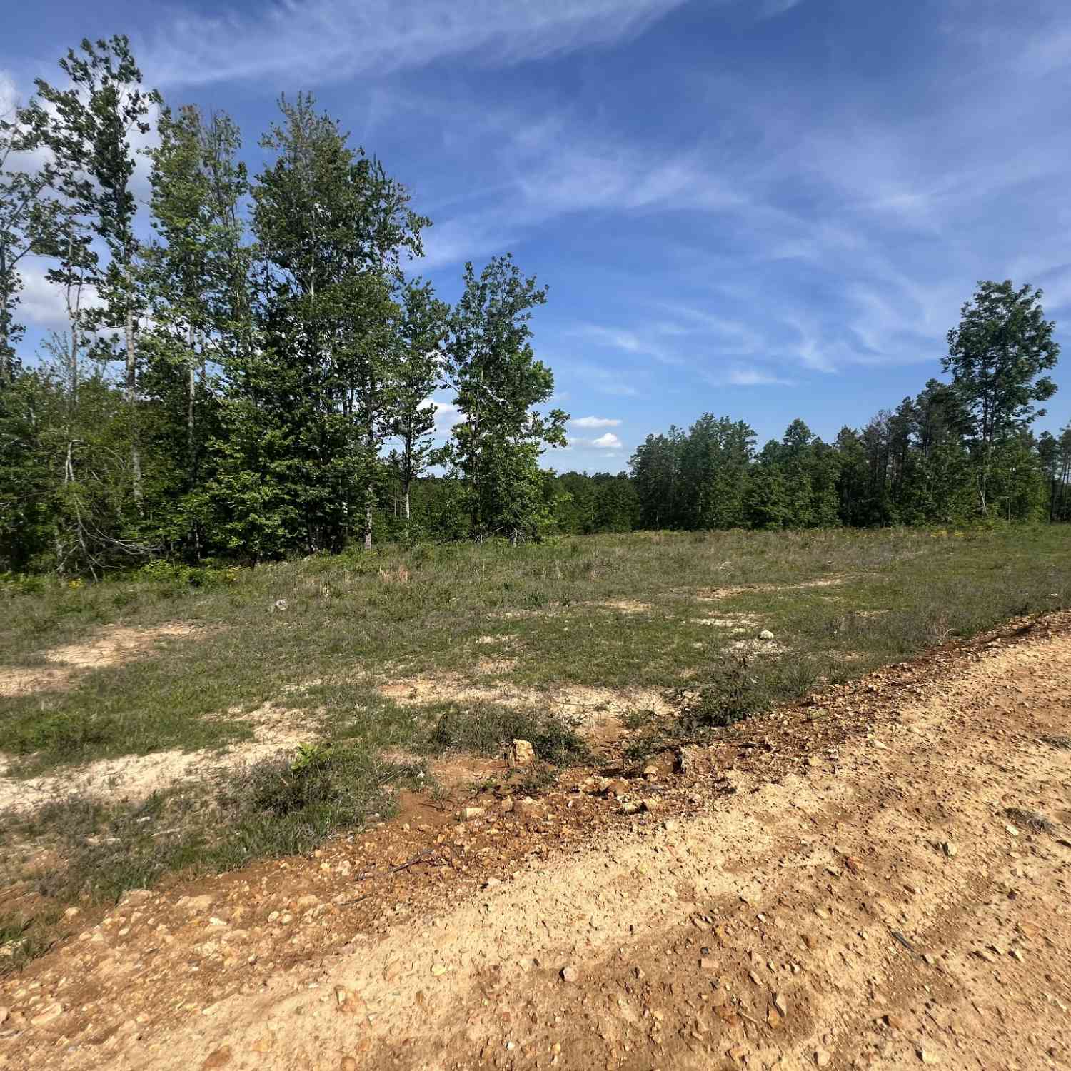 Vacant Land For Sale - 27 Pafford Lane<br/> Erin, TN 37061