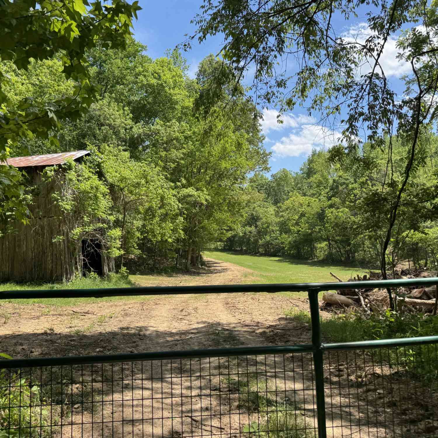 Vacant Land For Sale - Cub Creek Rd<br/> Stewart County County, Indian Mound, TN 37079