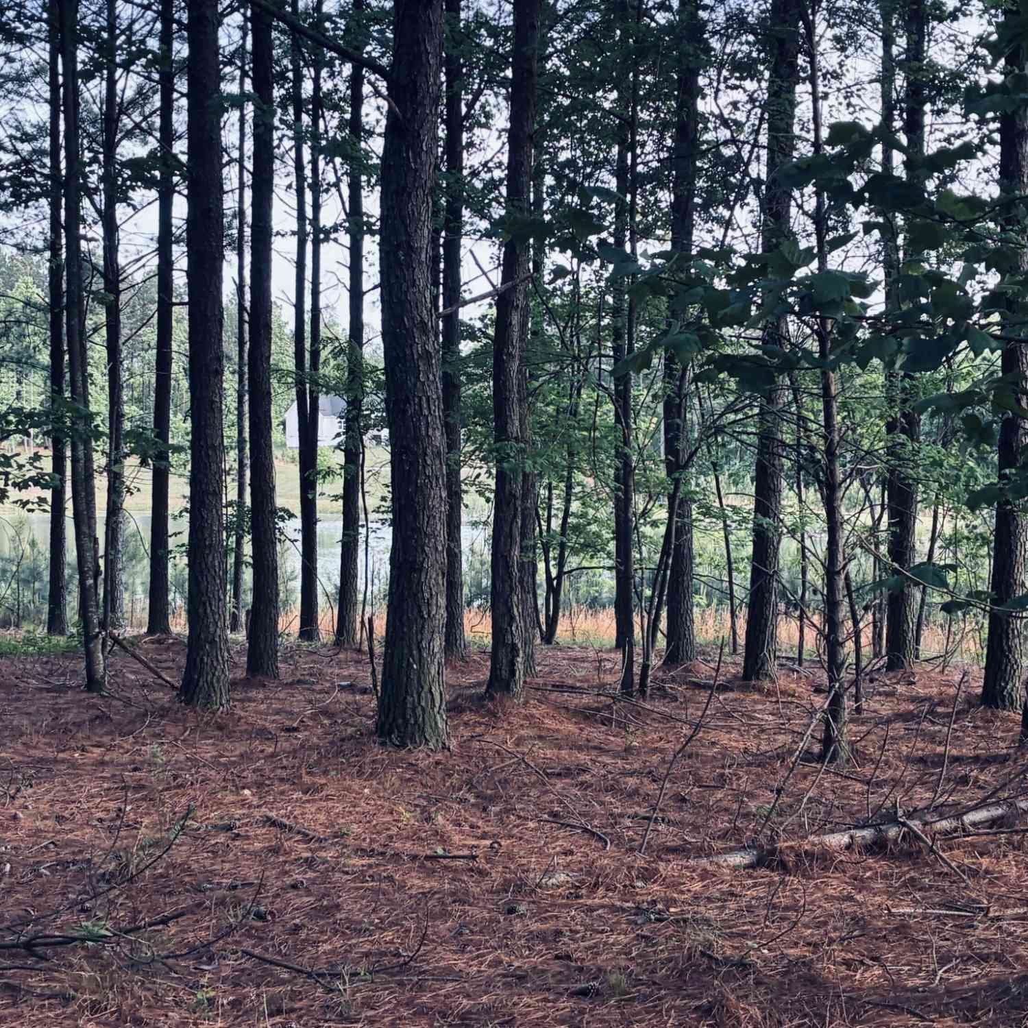 Vacant Land For Sale - 255 Waterwheel Way<br/> Jasper, TN 37347