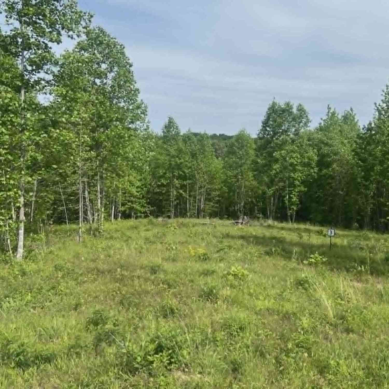 Vacant Land For Sale - Freedom Ridge<br/> Indian Mound, TN 37079