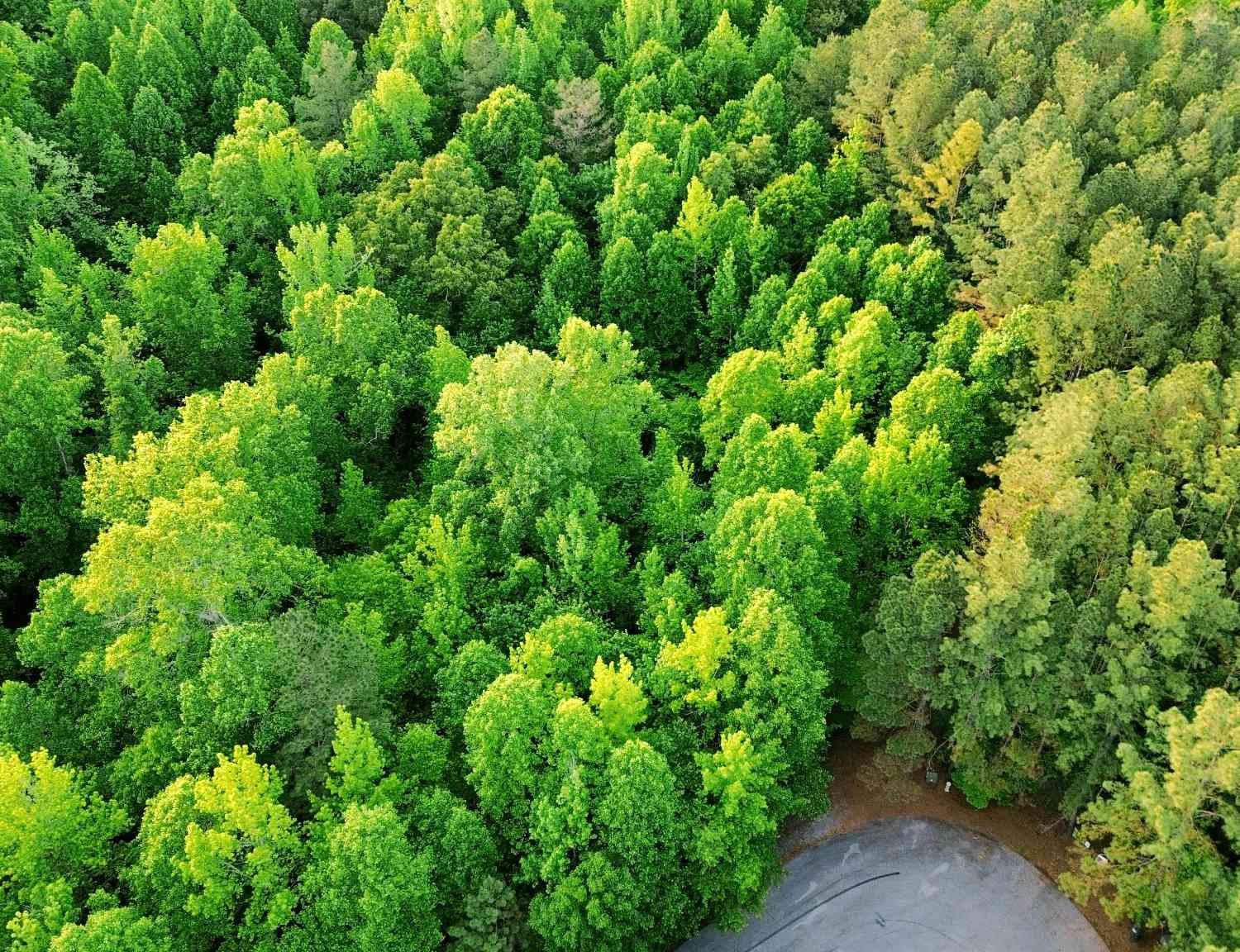 Vacant Land For Sale - Allen Bend Rd<br/> Dekalb County, Smithville, TN 37166