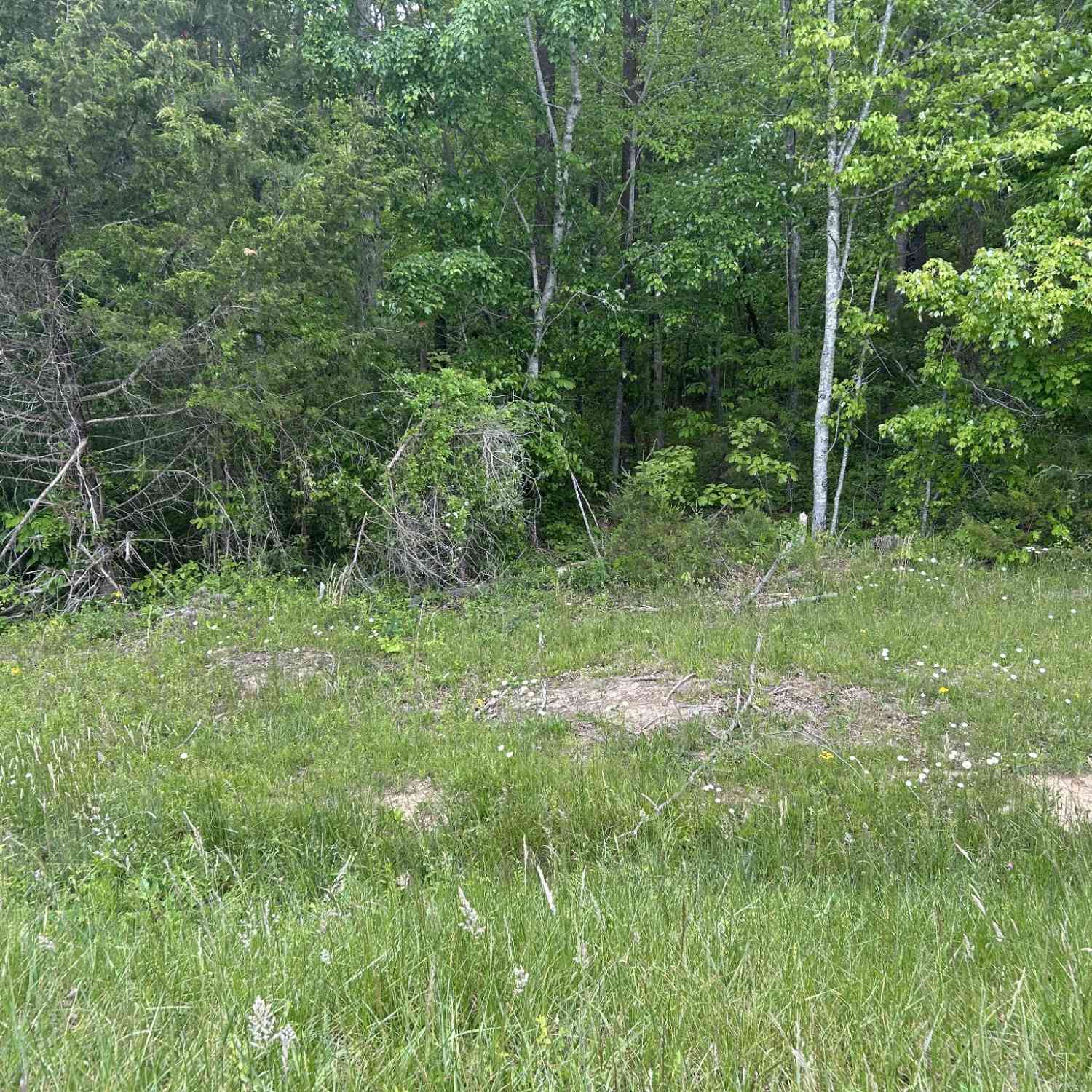Vacant Land For Sale - Rt Davis Rd<br/> Spencer, TN 38585