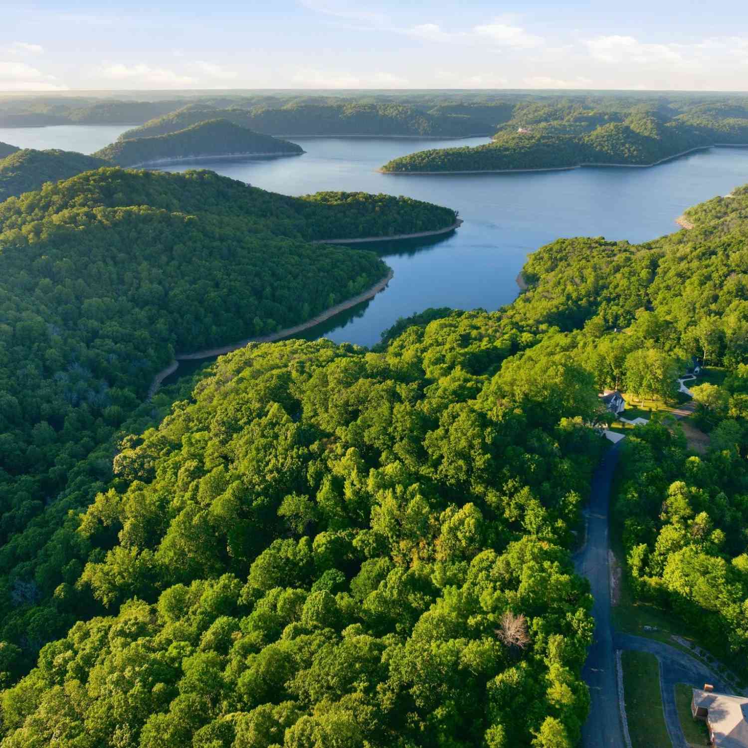 Vacant Land For Sale - Davidson Road<br/> Dekalb County, Smithville, TN 37166