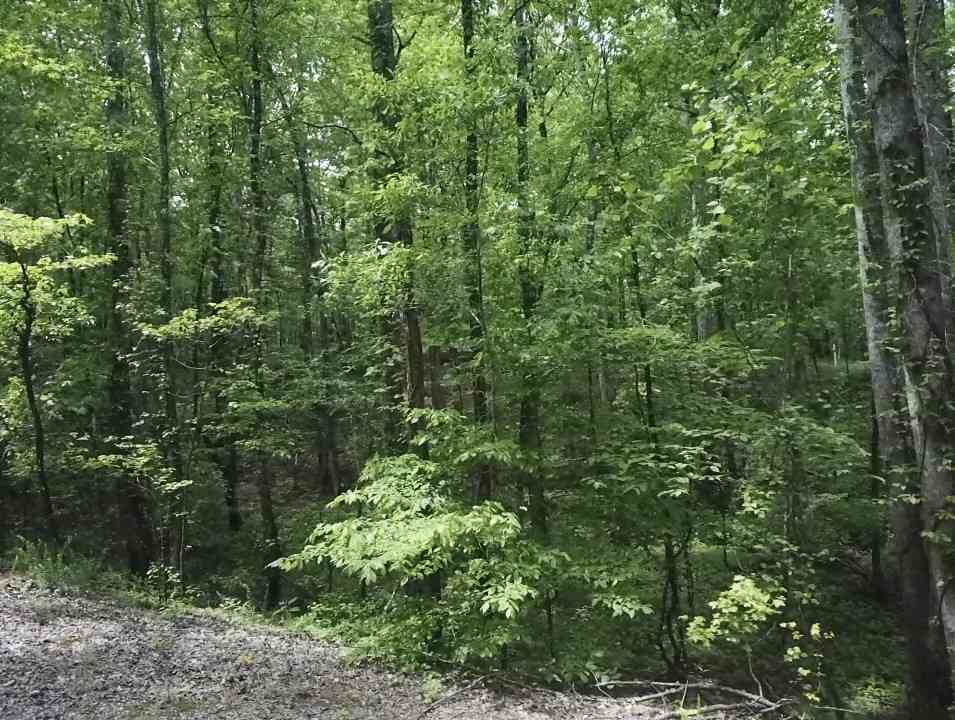 Vacant Land For Sale - 730 Wayne Smith Rd<br/> Saulsbury, TN 38067