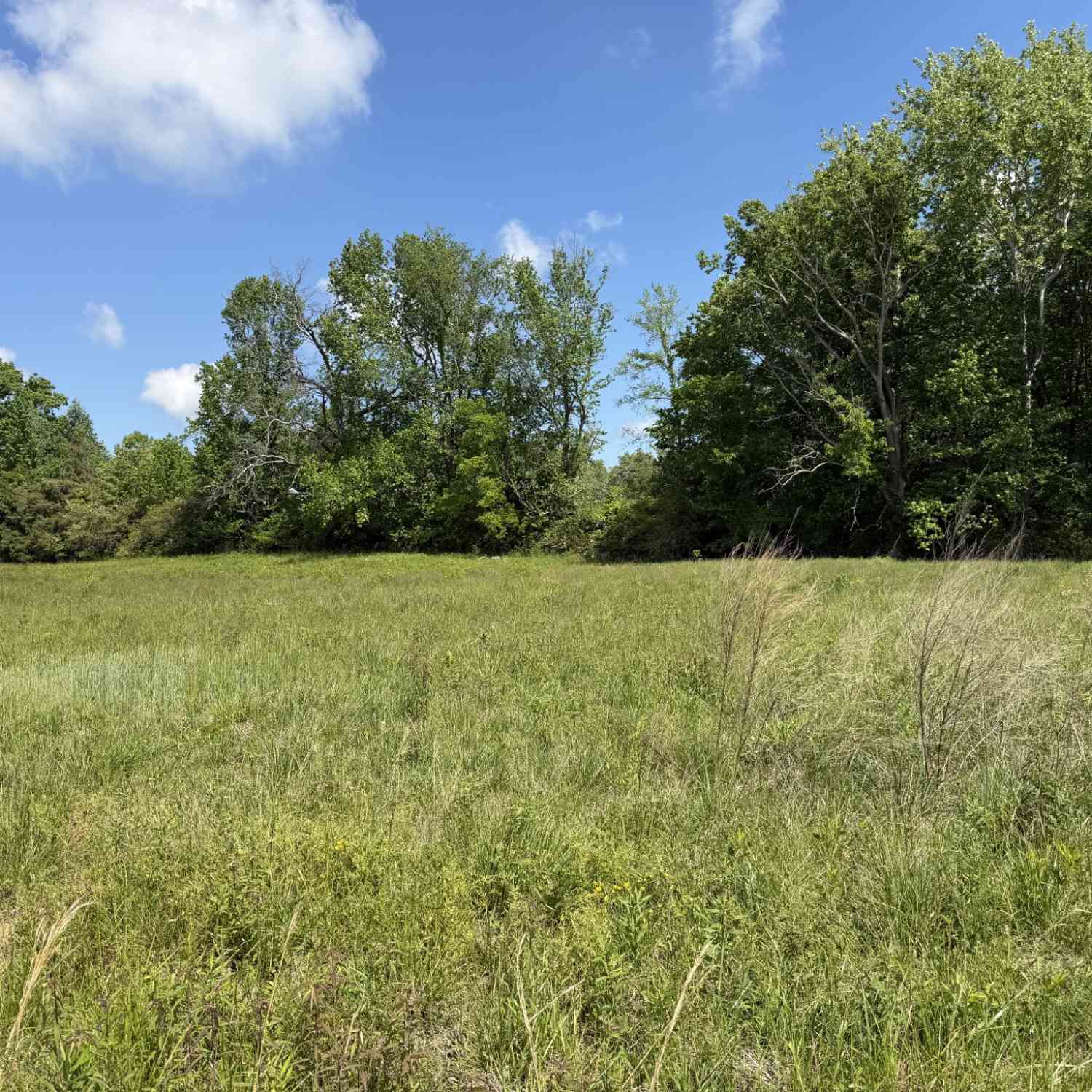 Vacant Land For Sale - 141 Reece Rd<br/> Baxter, TN 38544