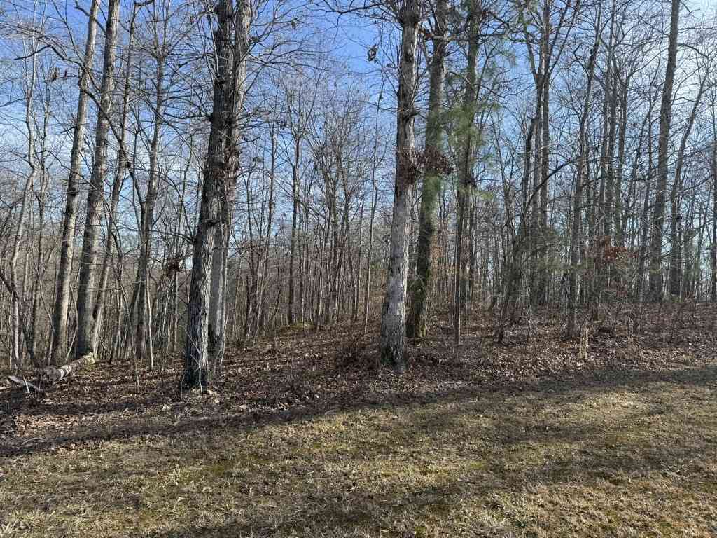 Vacant Land For Sale - Riverwatch Trace<br/> Dekalb County, Sparta, TN 38583