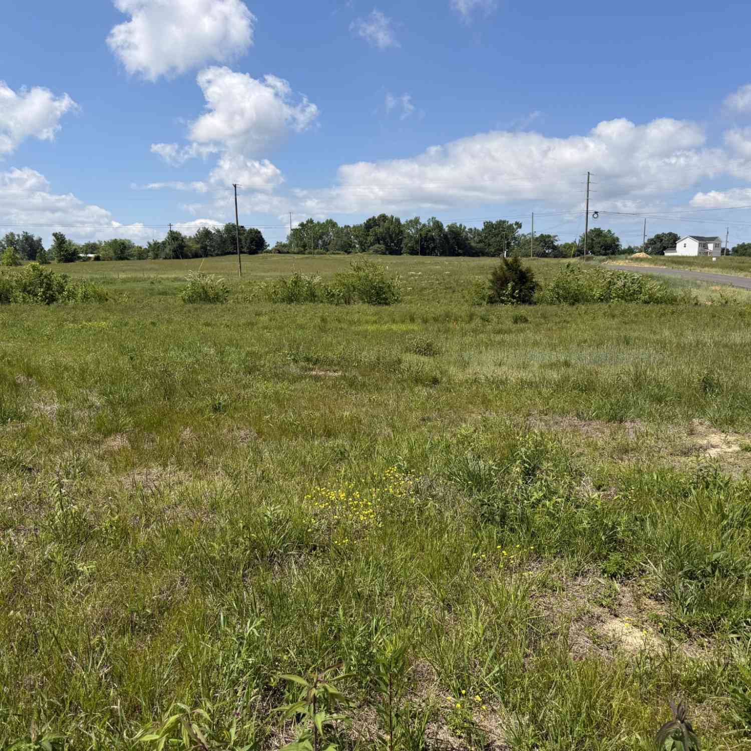 Vacant Land For Sale - 142 Reece Rd<br/> Baxter, TN 38544