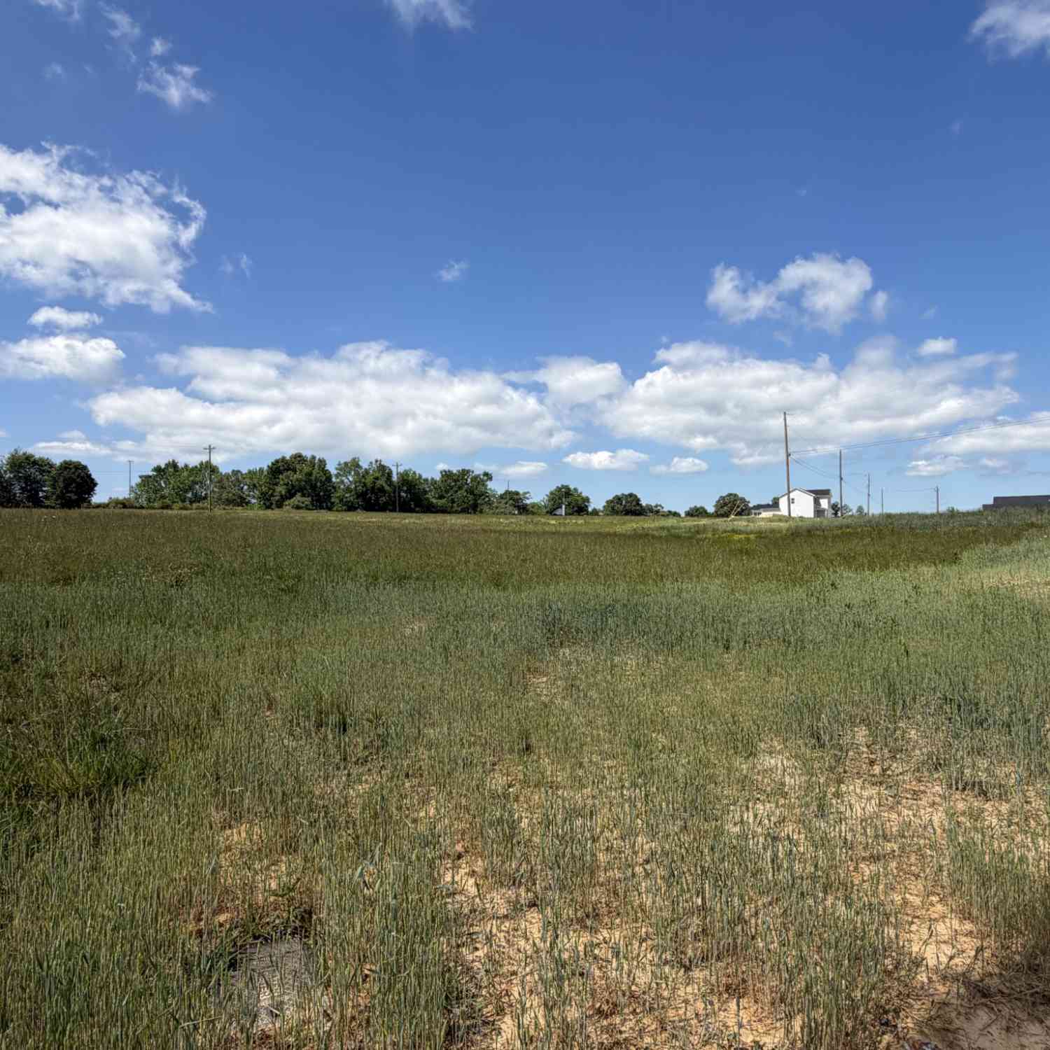 Vacant Land For Sale - 759 Regan Loop<br/> Baxter, TN 38544
