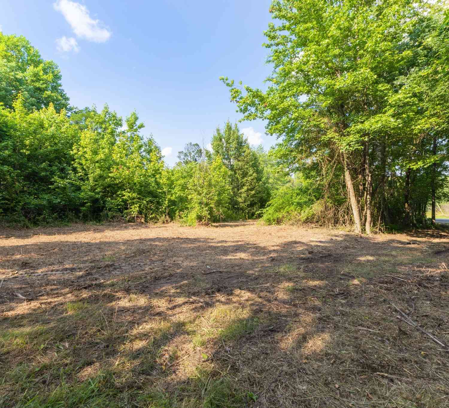Vacant Land For Sale - Hwy 41a<br/> Joelton, TN 37080