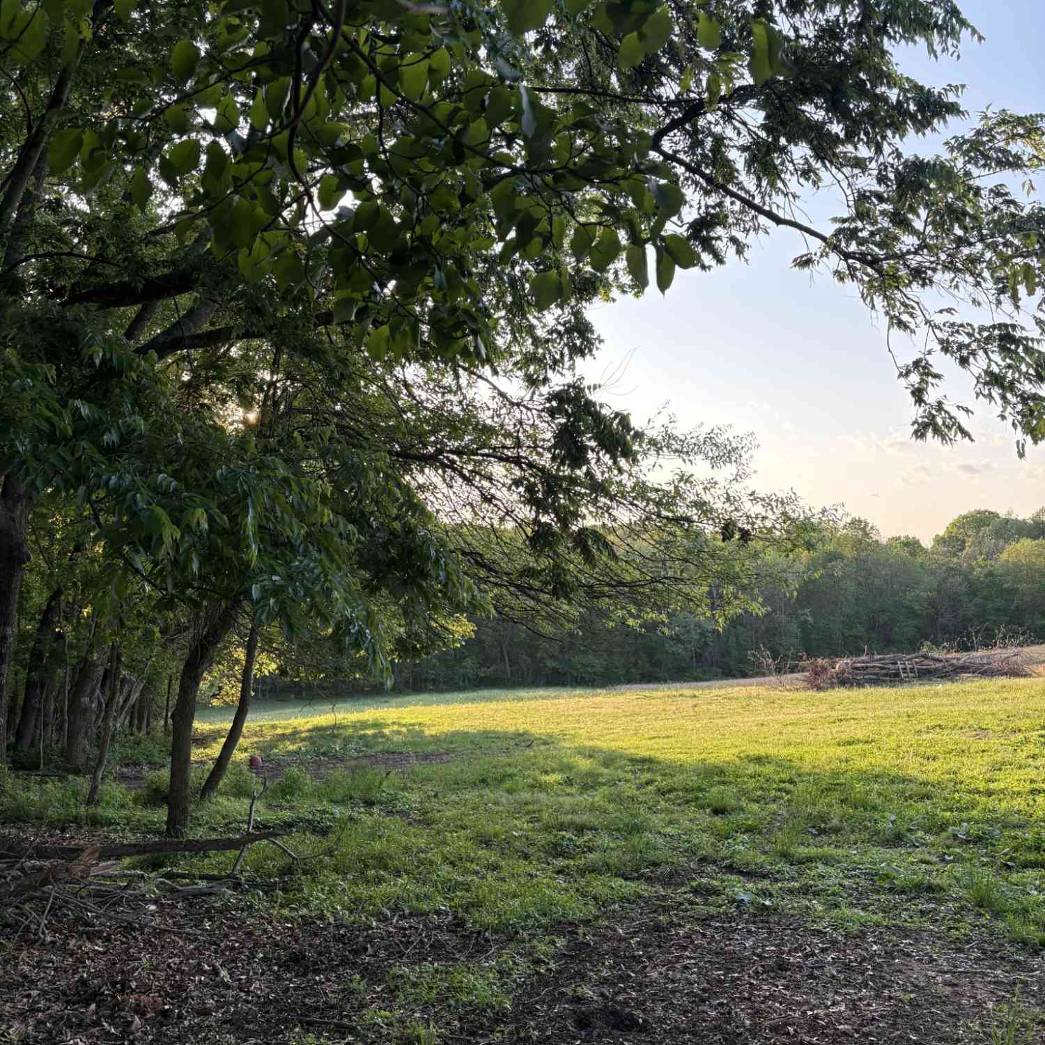 Vacant Land For Sale - 4884 Rock House Rd<br/> Robertson County County, Portland, TN 37148