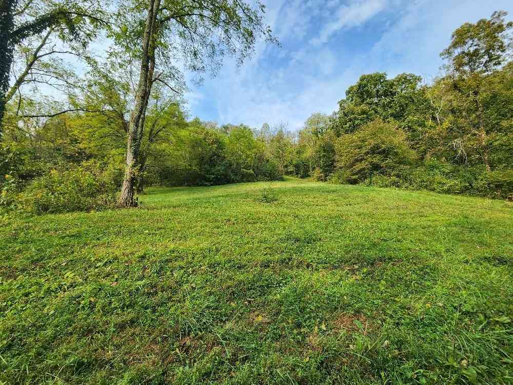 Vacant Land For Sale - Webster Branch Ln<br/> Whitleyville, TN 38588