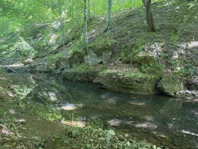 Vacant Land For Sale - 1 Bbq Rd<br/> Dickson County County, Dickson, TN 37055