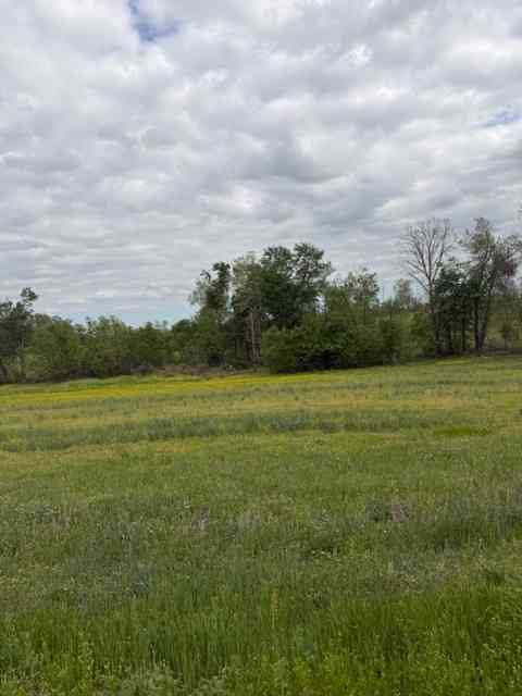 Vacant Land For Sale - 7770 Akersville Rd<br/> Macon County, Lafayette, TN 37083