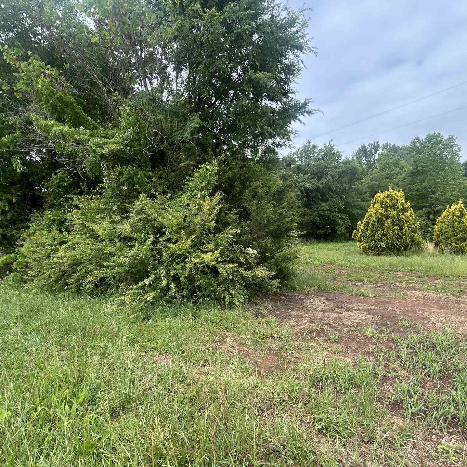 Vacant Land For Sale - Haddon Lane<br/> Franklin County County, Winchester, TN 37398
