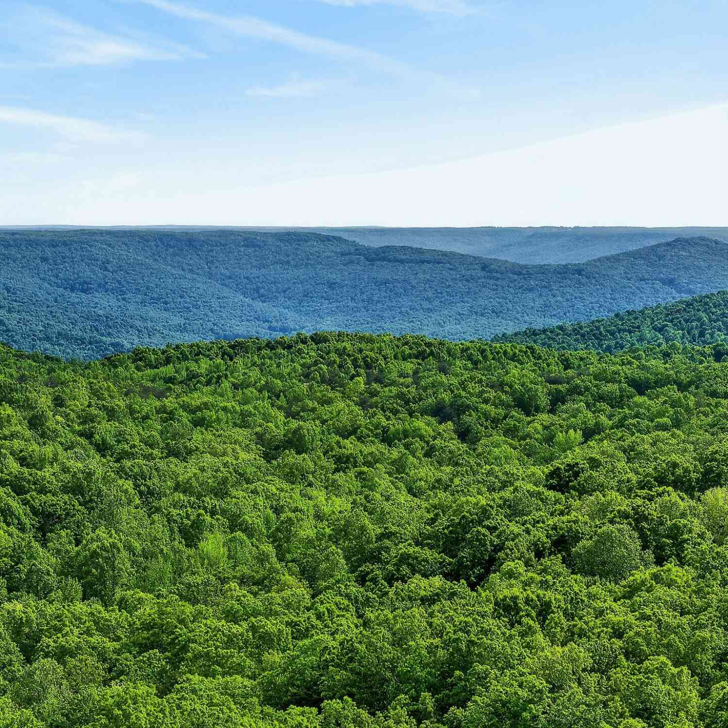 Vacant Land For Sale - Harrison Ferry Road<br/> Warren County County, McMinnville, TN 37110