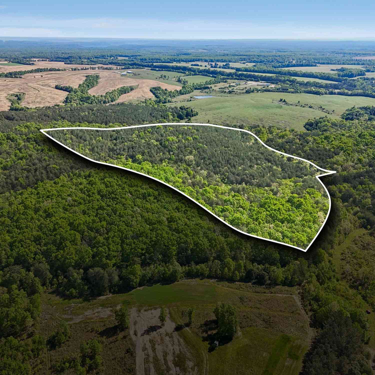 Vacant Land For Sale - Whitetail Ridge Dr<br/> Spencer, TN 38585