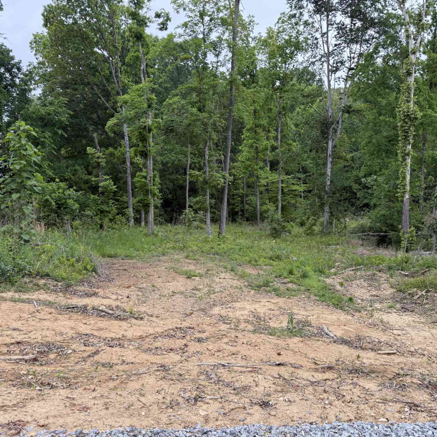 Vacant Land For Sale - 2995 Hwy 231<br/> Erin, TN 37061