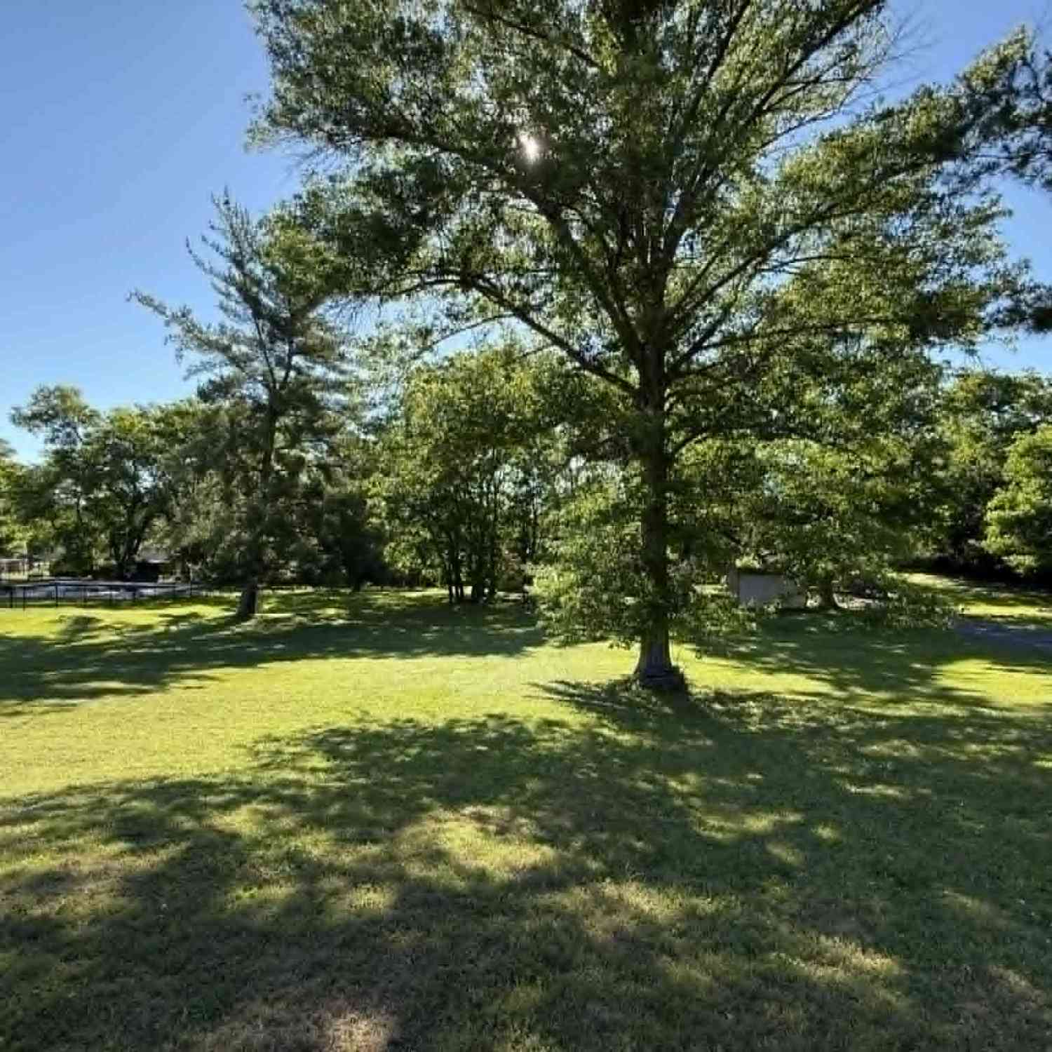 Vacant Land For Sale - Jackson Drive<br/> Giles County County, Pulaski, TN 38478